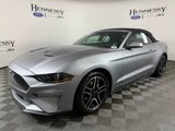 Certified 2022 Ford Mustang Premium image 2