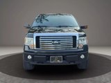 Used 2010 Ford F150 Lariat image 2