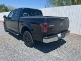Used 2016 Ford F150 XLT image 4