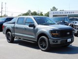 New 2024 Ford F150 STX w/ STX Black Appearance Package image 5