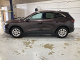 Used 2023 Ford Escape Active w/ Tech Pack #1 image 4