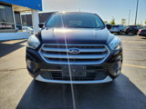 Used 2017 Ford Escape SE w/ SE Cold Weather Package image 6