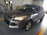 Used 2014 Ford Escape Titanium image 3
