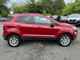 Used 2021 Ford EcoSport SE image 4