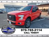 Used 2016 Ford F150 XLT w/ Equipment Group 302A Luxury image 4