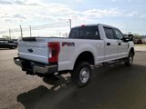 Used 2019 Ford F250 XL w/ STX Appearance Package image 3