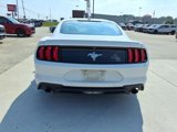 Used 2020 Ford Mustang Premium w/ Equipment Group 201A image 4