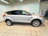 Used 2019 Ford Escape SE image 6