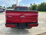 Used 2014 Ford F150 FX4 w/ Equipment Group 402A Luxury image 4