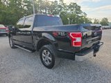 Used 2018 Ford F150 XLT w/ XTR Package image 5