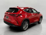 Used 2025 Lexus NX 350 AWD w/ Premium Package image 3