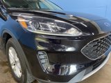 Used 2022 Ford Escape SE w/ Convenience Package image 2