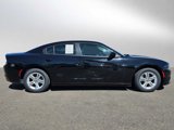 Used 2020 Dodge Charger SXT w/ Leather Interior Group image 2