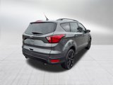 Used 2019 Ford Escape SE image 4