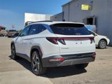 Used 2023 Hyundai Tucson Limited image 4