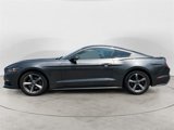 Used 2017 Ford Mustang Premium w/ Equipment Group 201A image 2