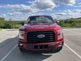 Used 2016 Ford F150 XLT w/ Equipment Group 302A Luxury image 2