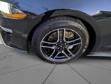 Used 2020 Ford Mustang Coupe w/ Equipment Group 101A image 3