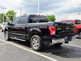 Used 2016 Ford F150 XLT w/ Equipment Group 302A Luxury image 5