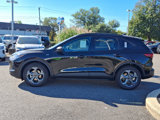 New 2025 Ford Escape ST-Line w/ Tech Pack #1 image 4