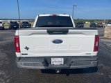 Used 2021 Ford F150 XLT w/ Equipment Group 301A Mid image 4