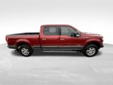 Used 2015 Ford F150 XLT w/ Equipment Group 302A Luxury image 4