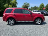 Used 2011 Ford Escape XLT w/ 202A Rapid Spec Order Code image 6