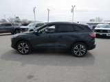 Used 2022 Ford Escape SE image 3