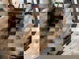 Used 2010 Toyota RAV4 Limited image 5