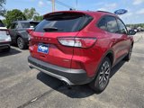 Used 2020 Ford Escape SE Sport image 4