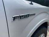 Used 2012 Ford F150 Platinum image 6