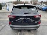 New 2025 Ford Escape ST-Line Select w/ Tech Pack #1 image 5