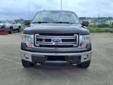 Used 2013 Ford F150 XLT w/ Luxury Equipment Group image 2