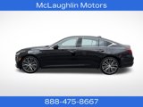 Used 2023 Cadillac CT5 Premium Luxury w/ Parking Package image 2