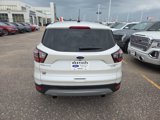 Used 2017 Ford Escape Titanium image 4