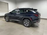 New 2025 Hyundai Tucson Blue image 4
