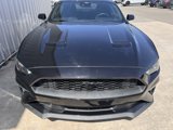 Used 2021 Ford Mustang Coupe w/ Equipment Group 101A image 3