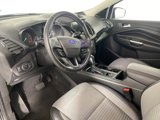 Used 2019 Ford Escape Titanium image 2