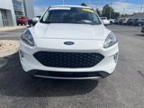 Used 2022 Ford Escape SEL image 4