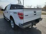 Used 2014 Ford F150 XLT w/ Equipment Group 302A Luxury image 4