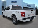 Certified 2019 Ford F150 XLT w/ Equipment Group 302A Luxury image 4