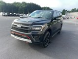 Certified 2022 Ford Expedition Timberline image 4