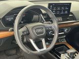 Used 2022 Audi Q5 2.0T Premium Plus w/ Premium Plus Package image 4