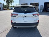 Used 2020 Ford Escape SE image 3