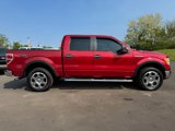 Used 2010 Ford F150 XLT image 6