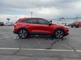 Used 2022 Ford Escape SE w/ SE Sport Appearance Package image 5