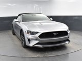 Used 2022 Ford Mustang Premium image 3