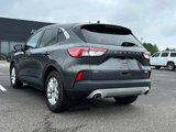 Used 2020 Ford Escape SE image 5