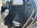 Certified 2021 Ford Escape SEL w/ Technology Package image 5