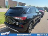 Used 2020 Ford Escape SEL image 5